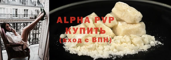 spice Богородицк