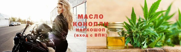 spice Богородицк