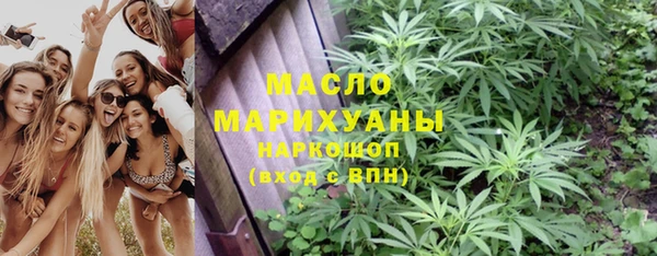 spice Богородицк