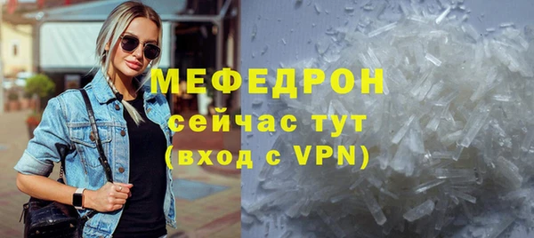spice Богородицк