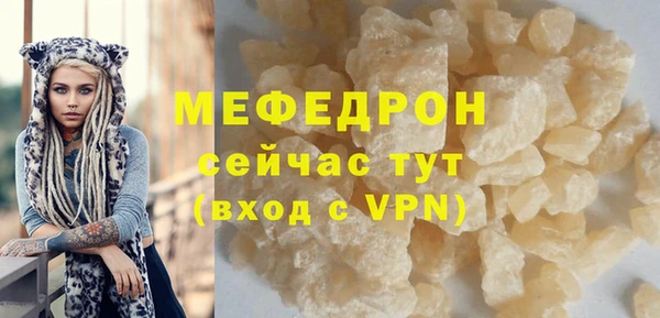 spice Богородицк